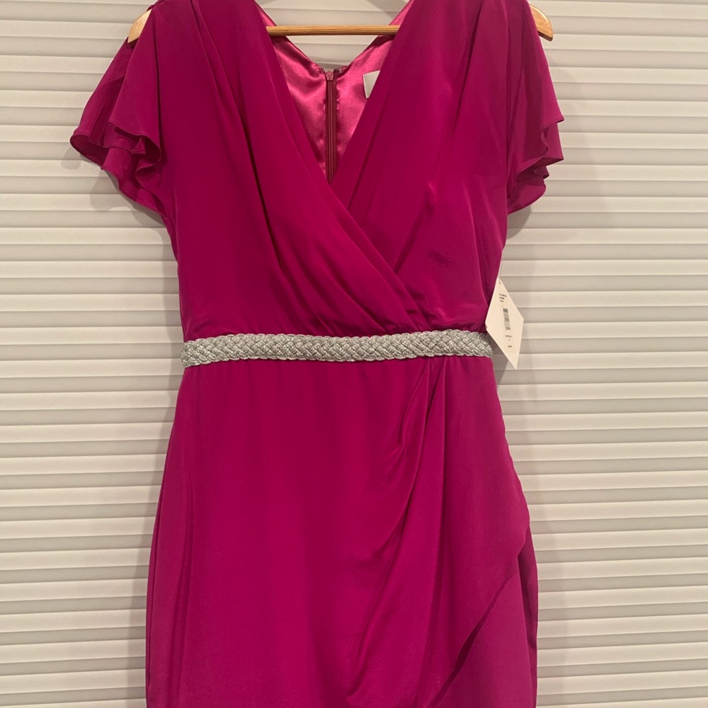Badgley Mischka Mark & James Fuchsia Dress, Size 4